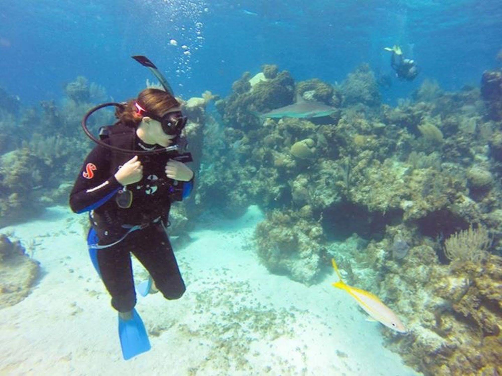 Green Turtle Club Resort & Marina Green Turtle Cay Buitenkant foto