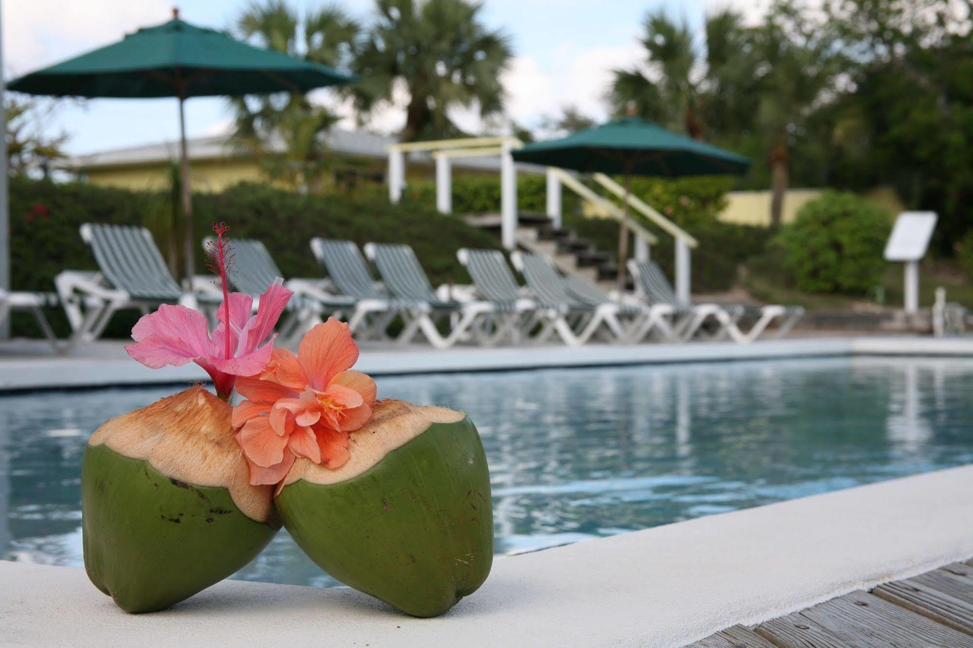 Green Turtle Club Resort & Marina Green Turtle Cay Buitenkant foto
